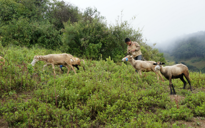 The Nahuas from Sierra Negra 